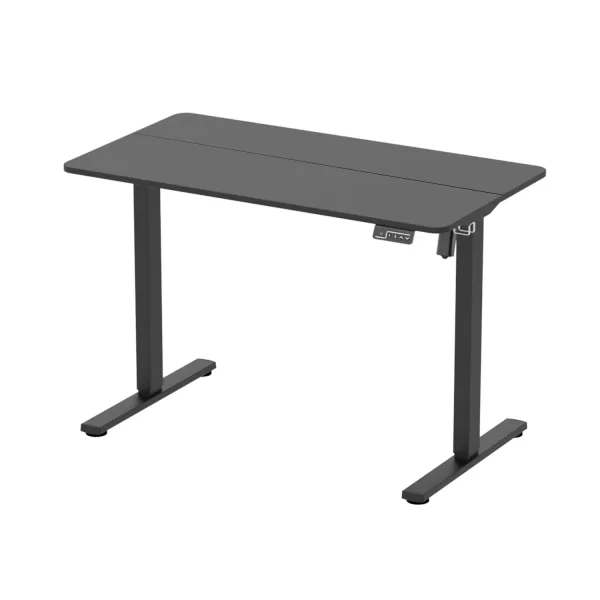 Electric Standing Desk 43"x24"